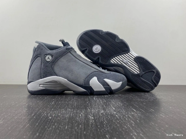 Kick Theory 14 Jordan Grey Flint Air FJ3460-012 0716